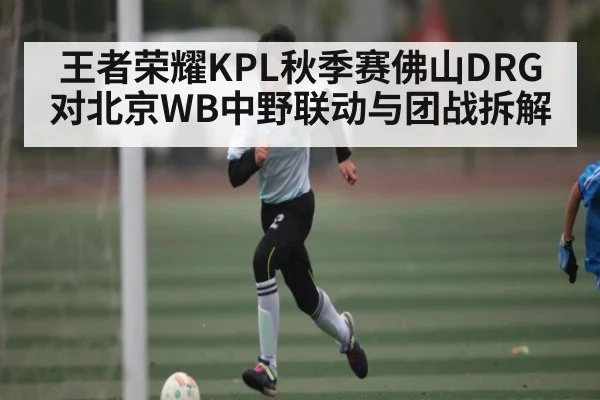 王者荣耀KPL秋季赛佛山DRG对北京WB中野联动与团战拆解